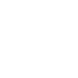 ZPrinter