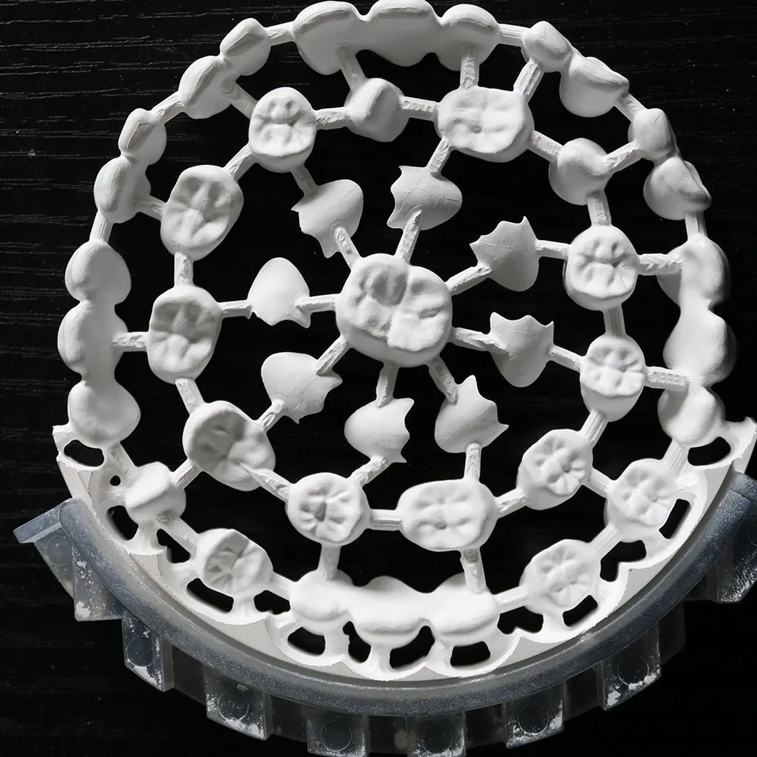 Jiny CAD/CAM Laboratory aesthetics.